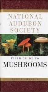 field guide to mushrooms | mushrooming