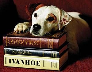 Wishbone on a stack of books
