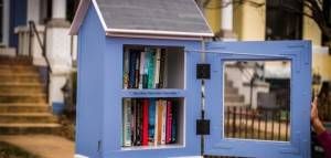 Open Little Free Library