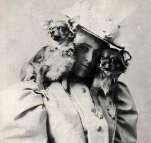Edith Wharton with dogs on her shoulders