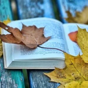 autumn book open leaves