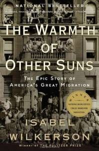 cover of warmth of other sons black history books