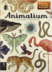 Animalium by Jenny Broom and illustrated by Katie Scott