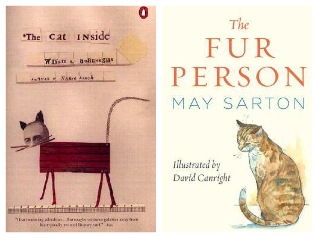 the cat inside fur person