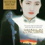 Farewell My Concubine movie