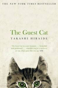 guest cat book cover