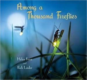 Among a Thousand Fireflies book by Helen Frost