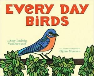 Every Day Birds book by Amy Ludwig VanDerwater