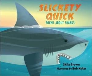 Slickety Quick book by Skila Brown