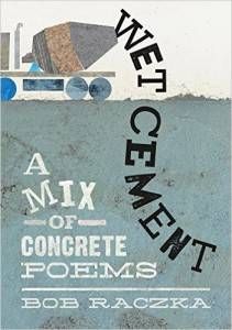 Wet Cement book by Bob Raczka
