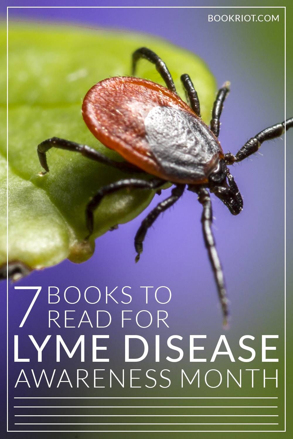 Tick season is here! Read up on Lyme disease and keep your family safe!