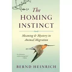 Homing Instinct by Heinrich