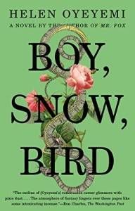 boy snow bird book cover helen oyeyomi