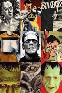 Frankenstein by Susan Tyler Hitchcock
