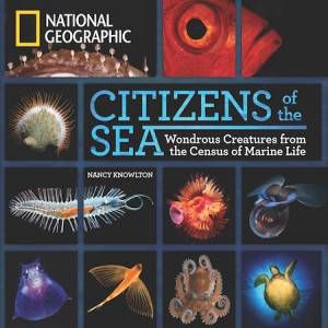 Citizens of the Sea by Nancy Knowlton