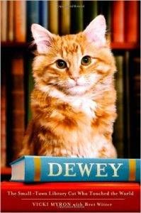 dewey book cover
