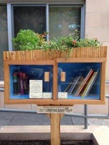 little-free-library-image-2