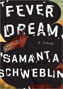 Fever Dream by Samantha Schweblin. Dark books in translation 