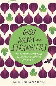 gods wasps and stranglers