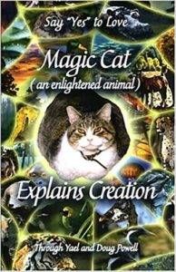 Magic Cat Explains Creation by Yael Powell and Doug Powell