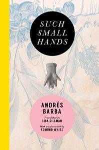 Such Small Hands by Andres Barba