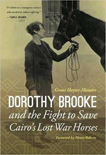 dorothy brooke and the fight to save cairo's lost war horses