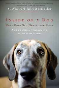 Book cover of Inside of a Dog by Alexandra Horowitz