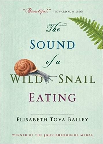 sound of a wild snail eating cover