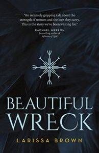 Beautiful Wreck By Larissa Brown cover