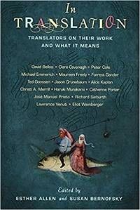 Book cover for In Translation