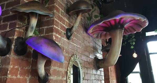 mushrooms wonderland lighting StoryVille