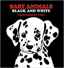 Black and white board books: Book cover of Baby Animals: Black and White by Tildes