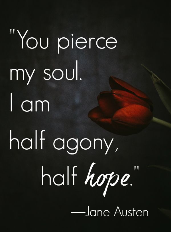 Jane Austen Quotes "You pierce my soul. I am half agony, half hope."