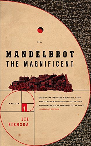 Mandelbrot the Magnificent book cover
