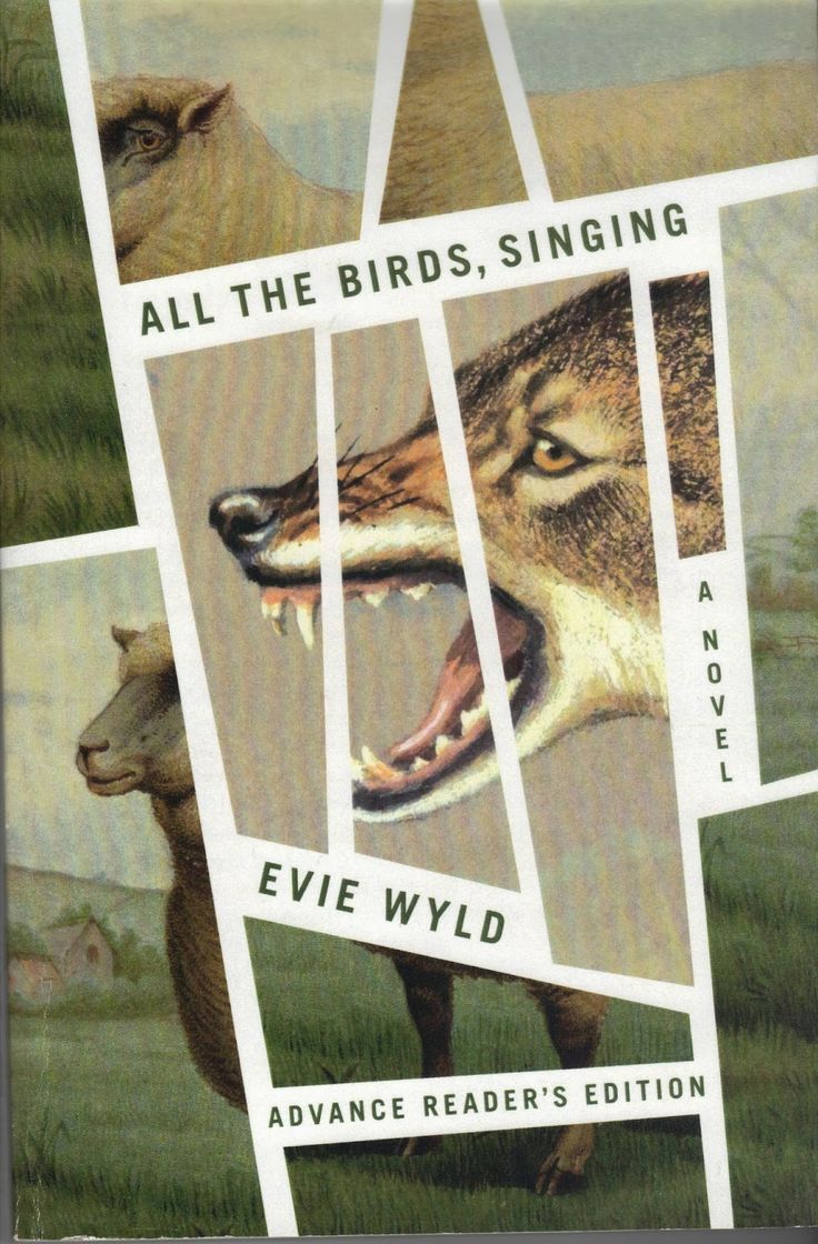cover of all the birds singing by evie wyld