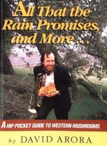 all that the rain promises and more | mushrooming