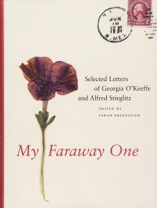 my faraway one cover