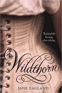 wildthorn book cover