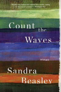 Count the Waves by Sandra Beasley cover