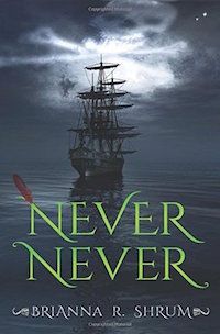 Never Never Book Cover