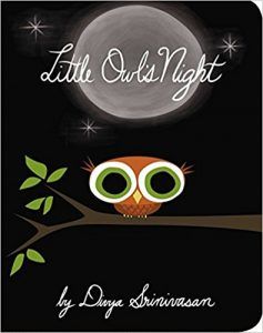 Little Owl's Night book cover