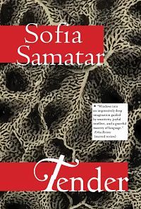 Book cover of Tender by Sofia Samatar book riot read harder challenge fairy tale retellings by authors of color