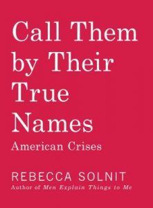 Call Them By Their True Names by Rebeca Solnit book cover