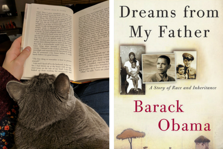 My cat reviews Dreams from My Father by Barack Obama