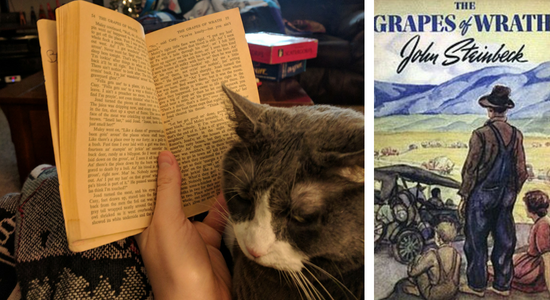 My cat reviews Grapes of Wrath by John Steinbeck