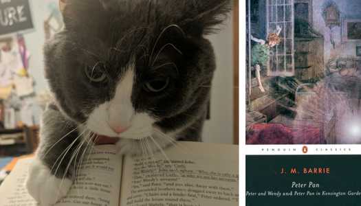 My cat reviews Peter Pan by J.M. Barrie