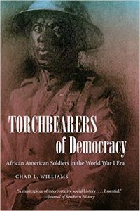 Torchbearers of Democracy Book Cover