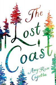 The Lost Coast by Amy Rose Capette