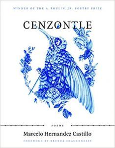 cenzontle-macelo-hernandez-castillo-poetry-latinx