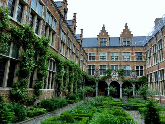 Garden and wall-climbing ivy within courtyard of Plantin-Moretus Museum